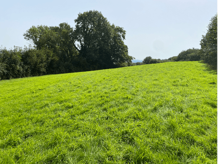 Land lying to the north of Commons Hill, Christow, Exeter EX6 7PG